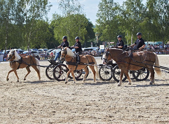 2023MueckePonyJub0296