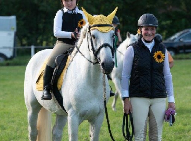 Majesto Führzügel