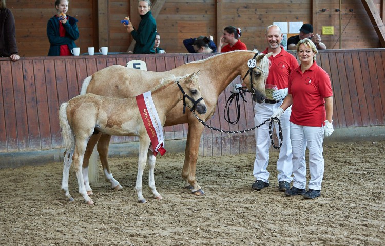 Tequilla Joe Welsh B Z Alexander und Katja Berghof, Obertiefenbach