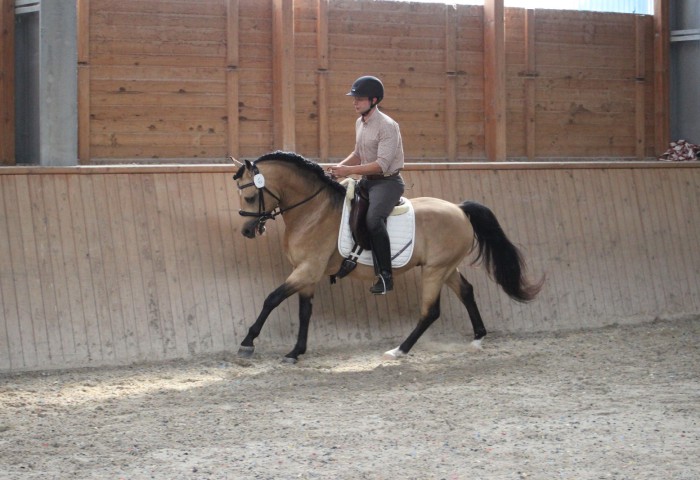 Rabbit`s Winnie Puh mit Nico Müller in in der Abschlussprüfung