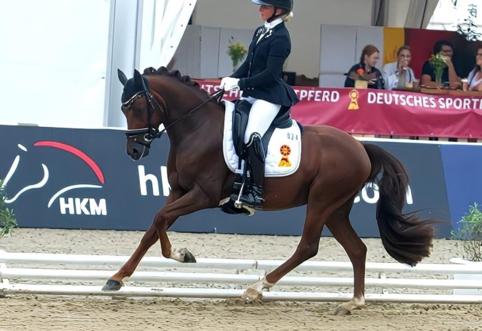 HLT Cosmotino Foto privat