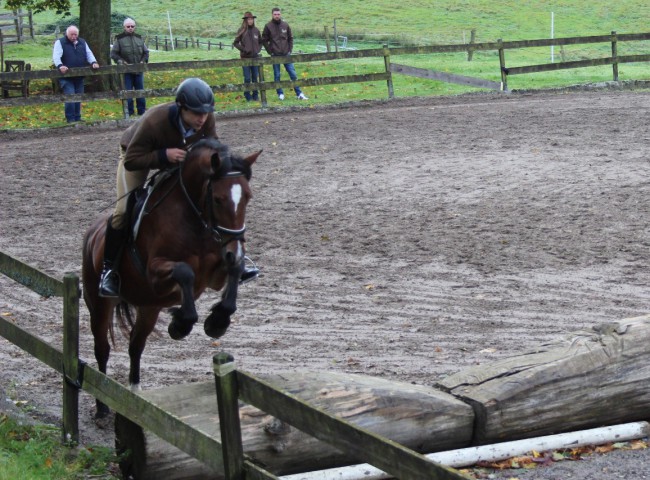 Terra Amazing Grace mit Nico Müller im Parcours