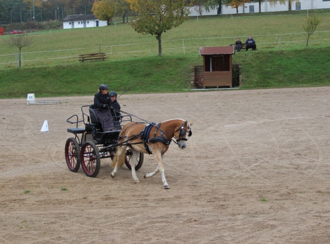 Stella M mit Jessica Wäächter in der Fahrprüfung
