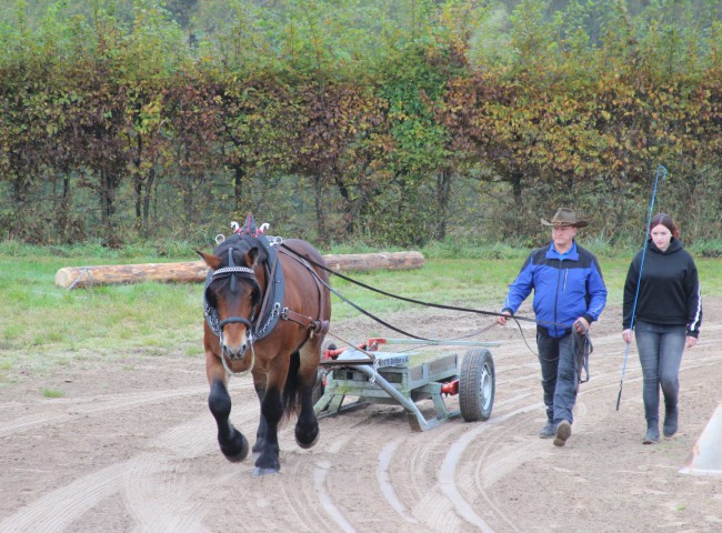 Vulkan vor dem Zugschlitten