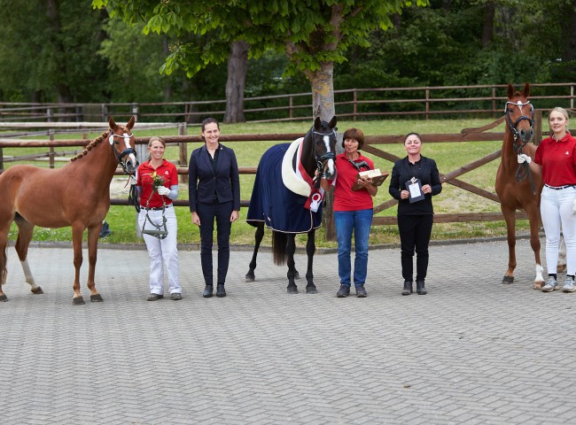Der IG Reitpony Hessen e.V. Stutenpreis 2025