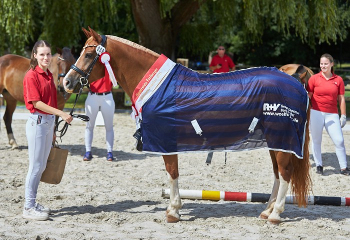 Freiberger Stute mit Ehrenpreis der R&V