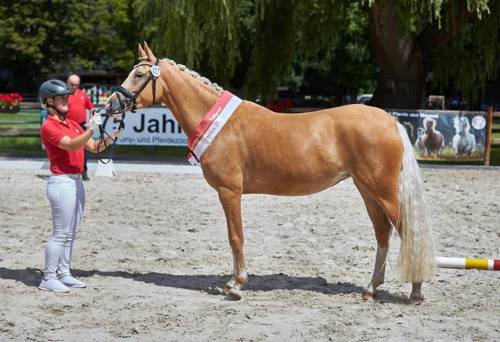 Gesamtsiegerin Reitpony