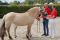 Reservesieger Stute Lieve