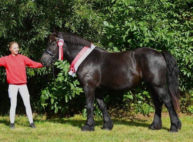 PrStA Rosi, Siegerstute