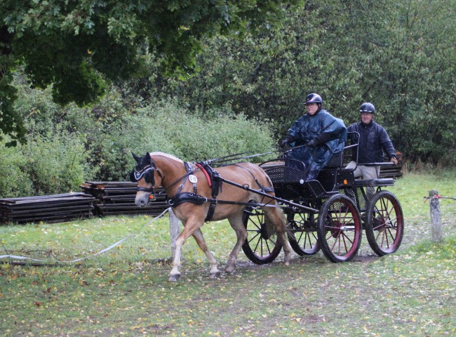 Naomy M mit Bigit Müller im Gelände