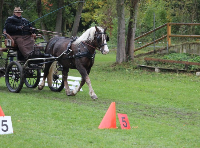 Wayana vom Schellenberg gefahren von Peter Tischer