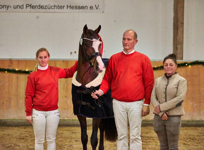 PrA Cosmo Casparello - Deutsches Reitpony