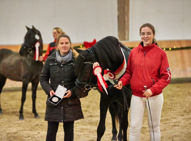 PrA Edelhofs Grandmaster Flash – Morgan Horse 