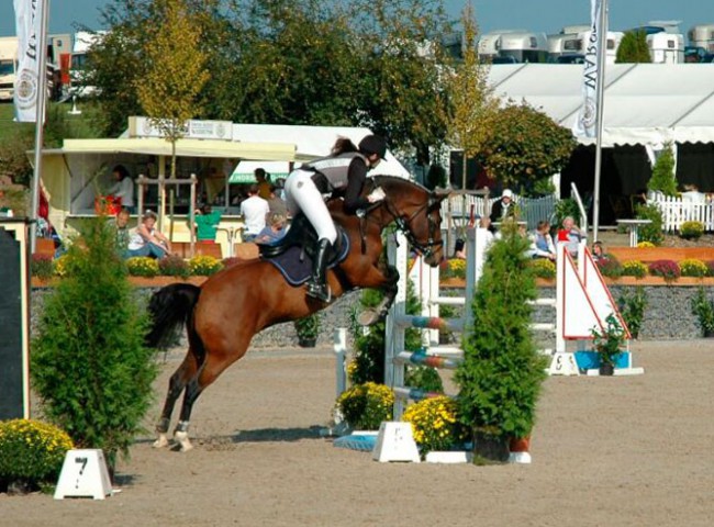 Marina Wenzel mit Rusty – Nr. 1 bei den Springponys