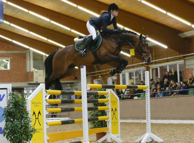 Balou Star Vater von Balous-Primeur