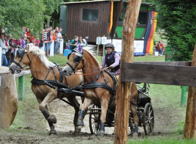 Eine tolle Saison für Nesquick und Nalet II mit Scarlett S. Grünewald