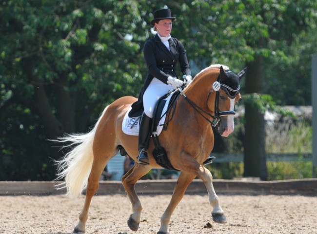 Armani trabt mit Franziska Keth an die Spitze aller hessischen Sportponys