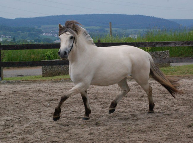 Florina vom Oderhaff