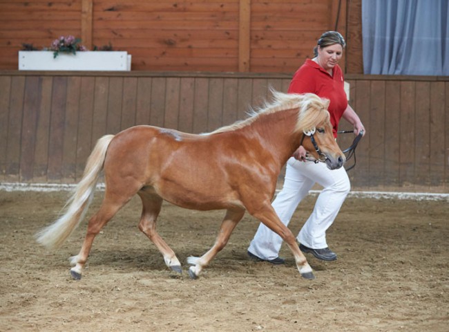 Letizia von de Hohen Haardt