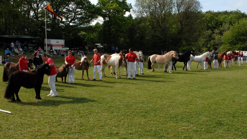 Parade der Sieger  (Foto: Matthias Brab)