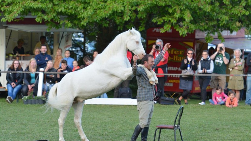 Laurent Galinier „Andaji“ - Spectacle Equestre   (Foto: Dr. Thomas Bachmann)