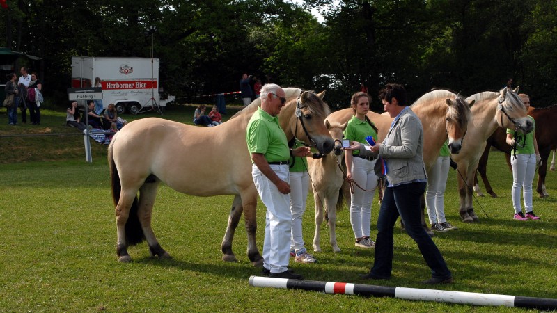 Siegerfamilie der Merle  (Foto: Matthias Brab)