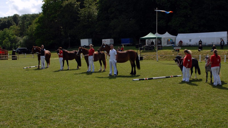 Siegerehrung der Welsh Klasse  (Foto: Matthias Brab)