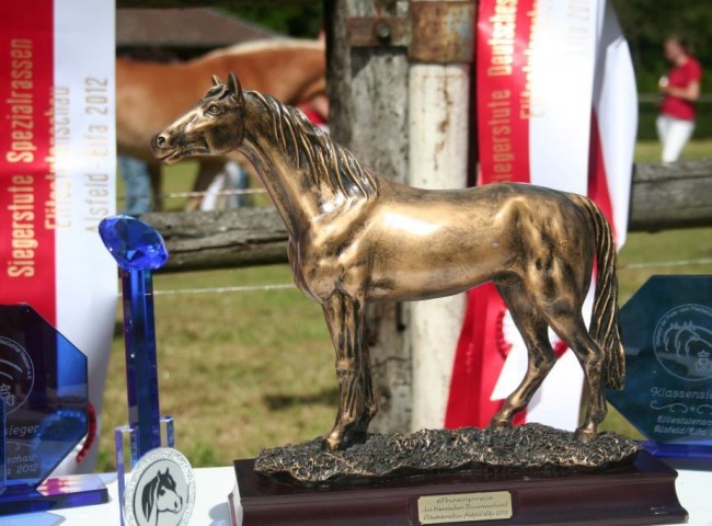 13301355_1292810450746305_3659858491985737861_o