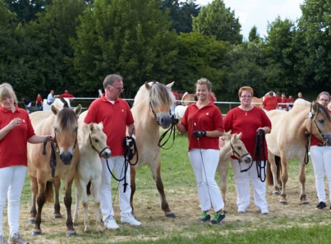 Familie der Julka StPrSt (Fjord)