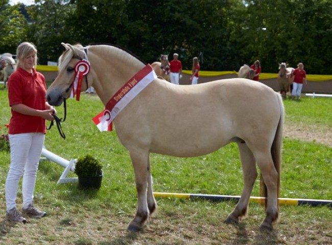 Feike StPrSt (Fjord)