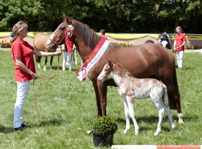La Amanecida La Duranda (Criollo)