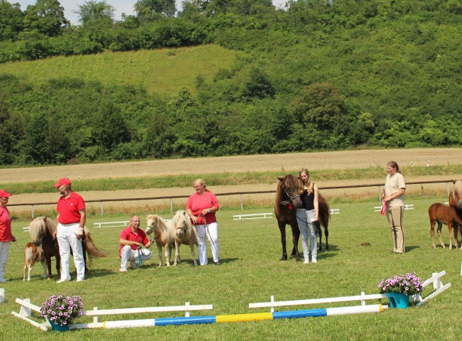 Schlussaufstellung der Siegerfohlen