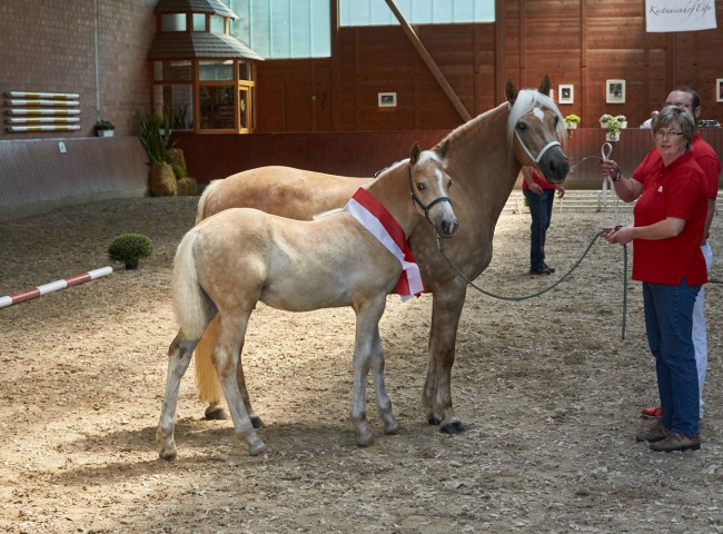 Alvaro    Foto: Joachim Hecker