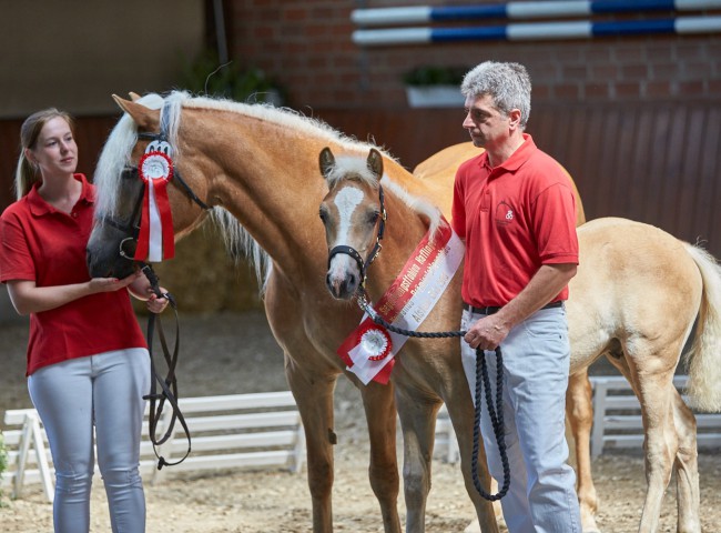 Asano   Foto: Joachim Hecker