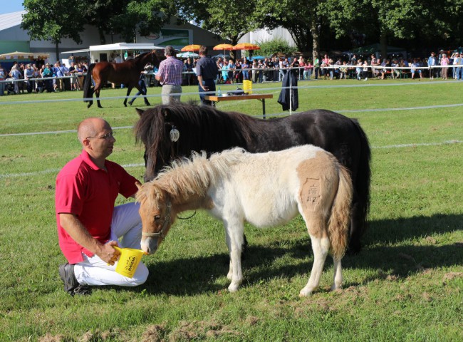 Candy vom Ponyparadies