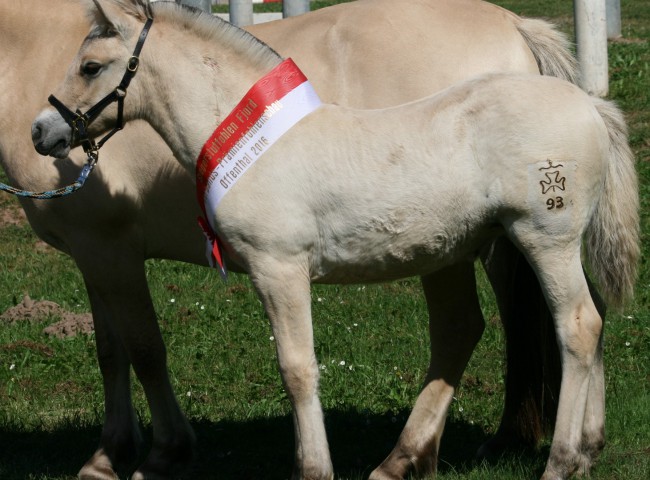 Anike Foto: Claudia Eichner