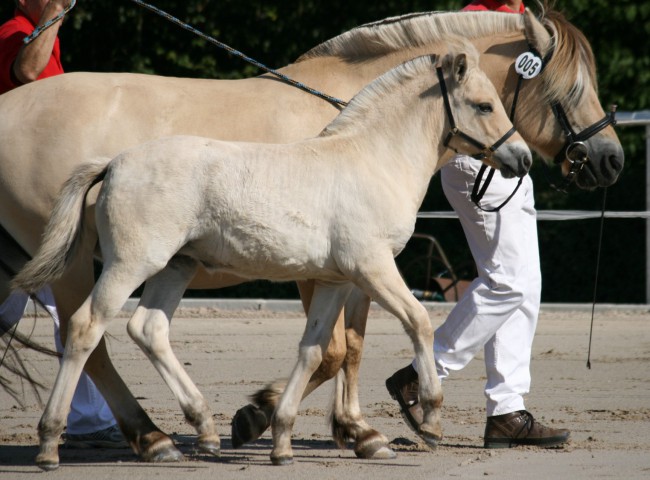 Anike Foto: Claudia Eichner