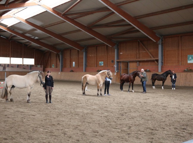 Bekanntgabe der Ergebnisse