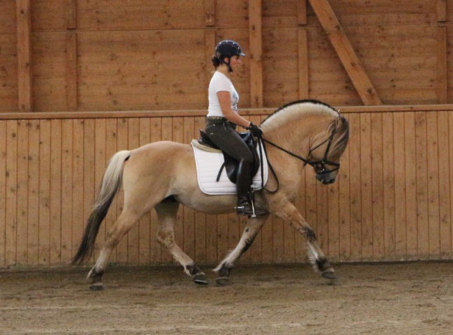 Kilius HLP Erbach 216