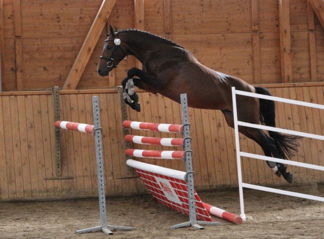 NantanoL Freispringen HLP Erbach 2016