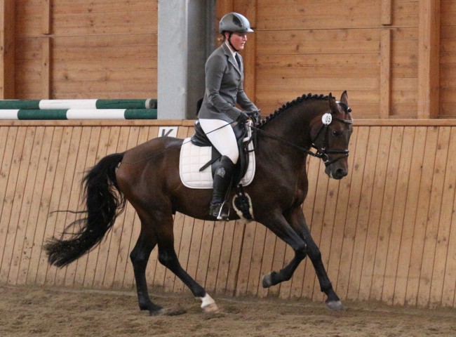 Nantano L HLP Erbach 2016