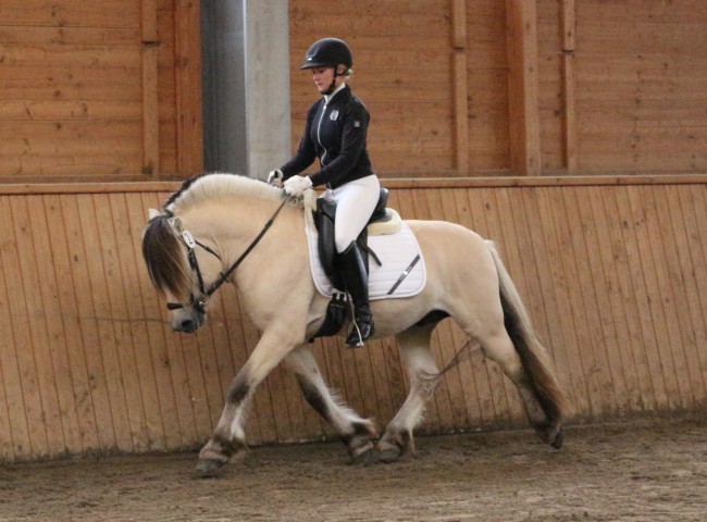 Rollo HLP Erbach 2016