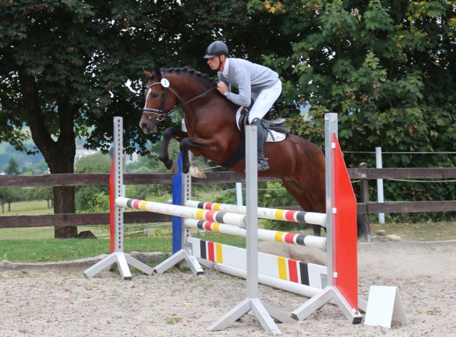 Sulaatik´sVingino Parcours HLP Erbach 2016