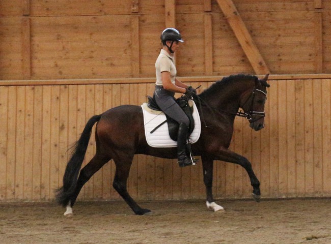 Sulaatik´s Vingino HLP Erbach 2016