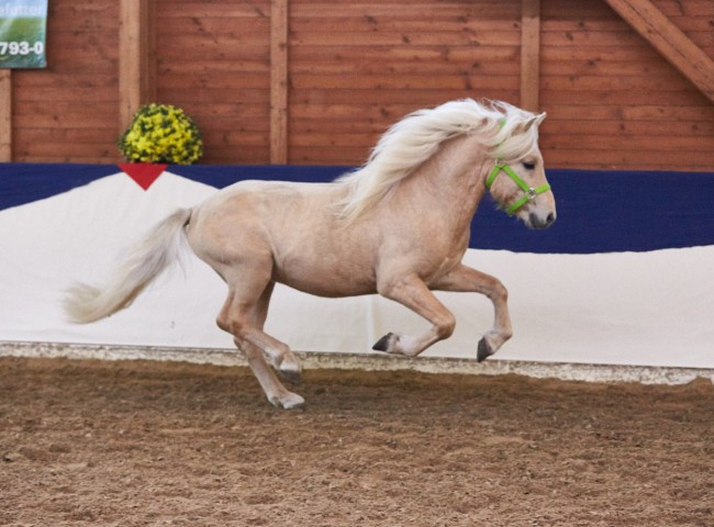 Bacchus vom Idablick Foto: Joachim Hecker