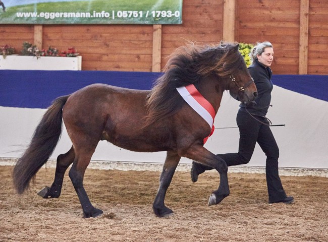 Gjörvi vom Steinbuckel Foto: Joachim Hecker
