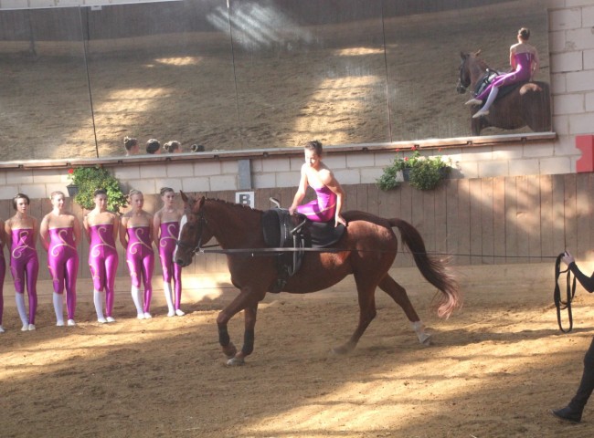 Emely Becker auf Renard bei der Einzelkuer
