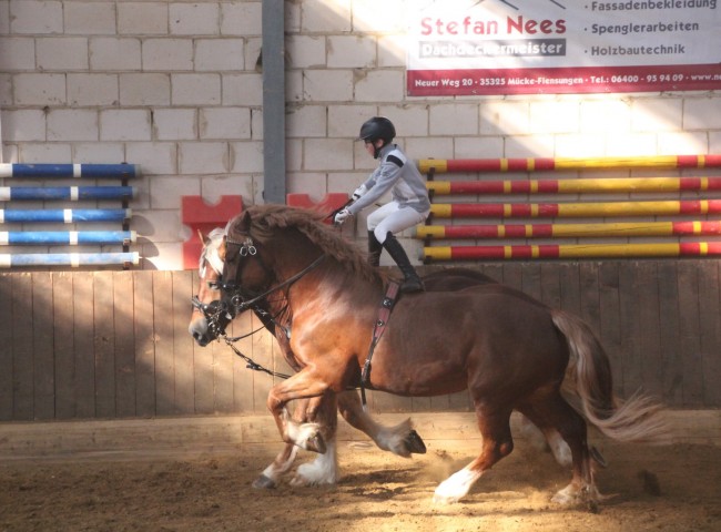 Lars Dechert drehte mit Felix und Hannes