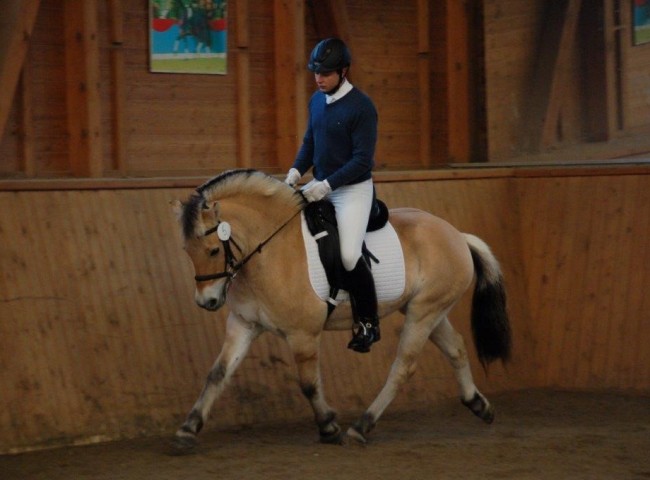 Junika - Endnote 7,90  Foto: Jochen Noesinger