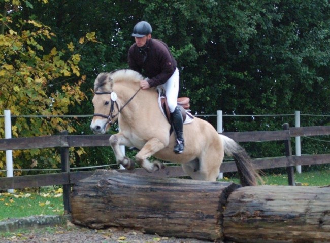 Junika - Endnote 7,90  Foto: Jochen Noesinger